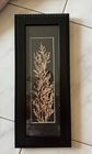 Herbarium plants for show piece