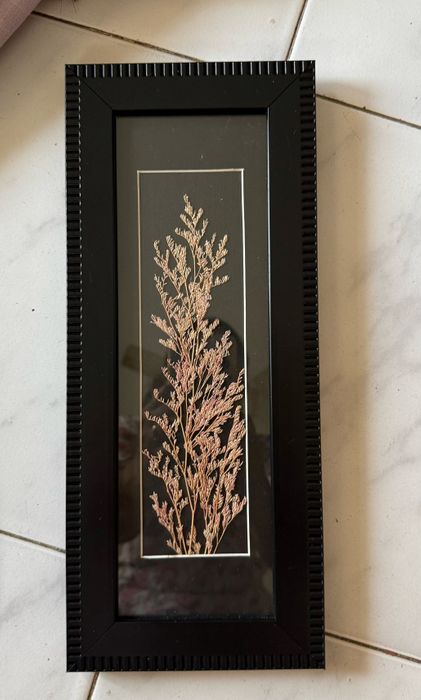 Herbarium plants for show piece