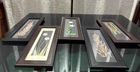 Herbarium plants for show piece