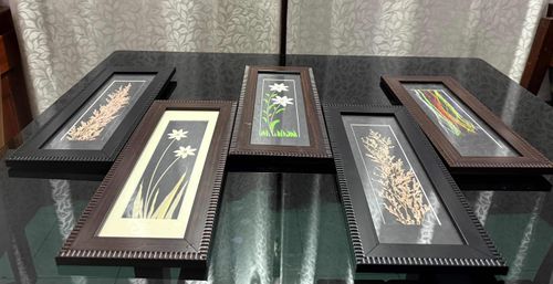 Herbarium plants for show piece