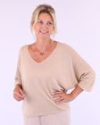 Modal Blend Sparkle V Neck Top