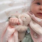 Bunnies Collection