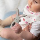 Bunnies Collection