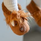 Highland Cow Collection