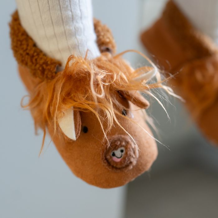 Highland Cow Collection