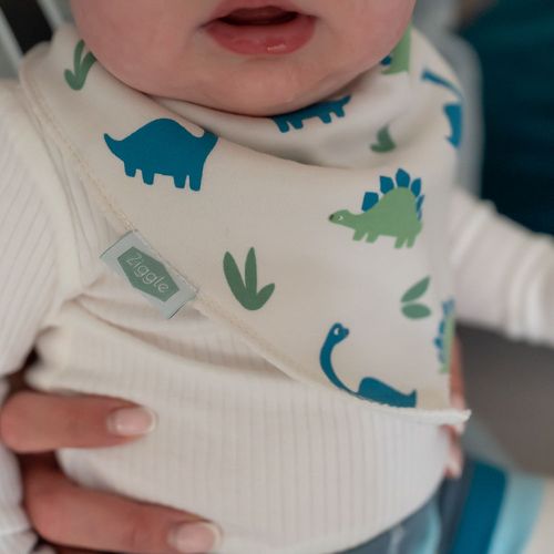 Ziggle Dinosaur Collection