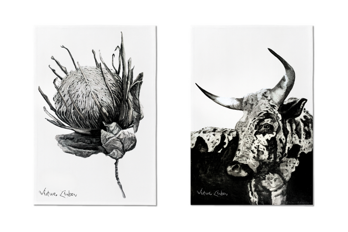 Kitchen Towels: Fauna & Fur