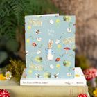 The World of Peter Rabbit Collection with new cards and gift wrap lines
