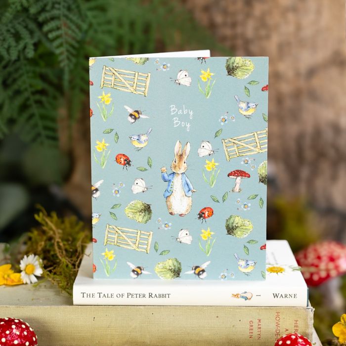 The World of Peter Rabbit Collection with new cards and gift wrap lines