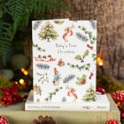 The World of Peter Rabbit Collection with new cards and gift wrap lines