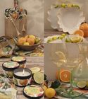 Citrus Collection