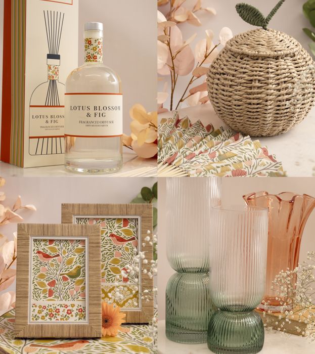 Songbird Collection