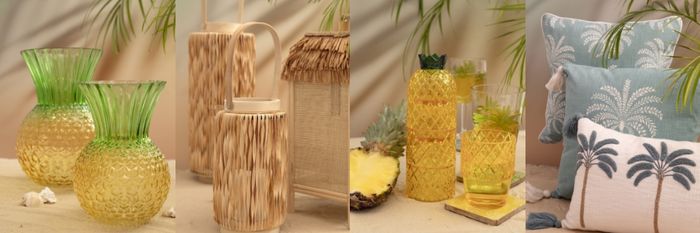 Palm Collection
