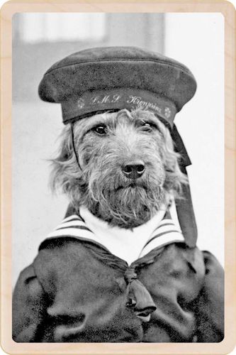 HMS DOG