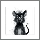 Cheeky Charcoals