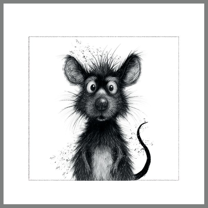 Cheeky Charcoals