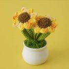 CROCHET PLANTS