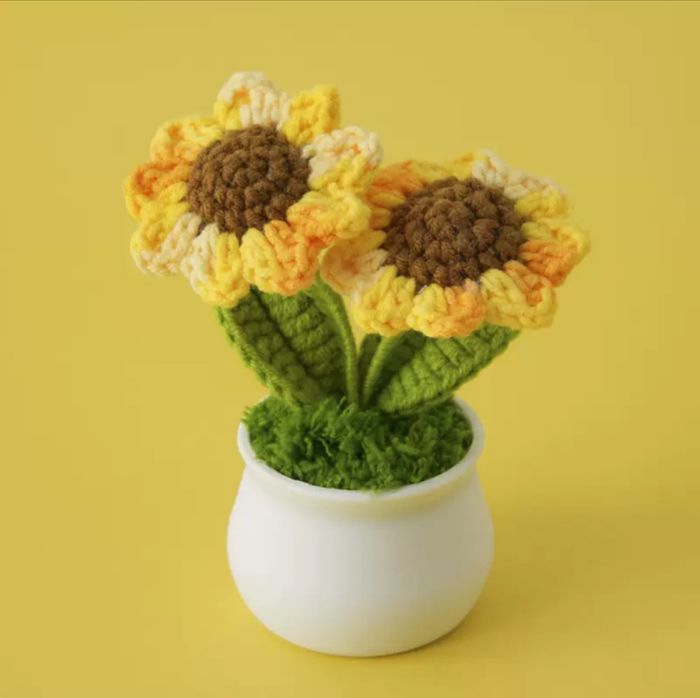 CROCHET PLANTS