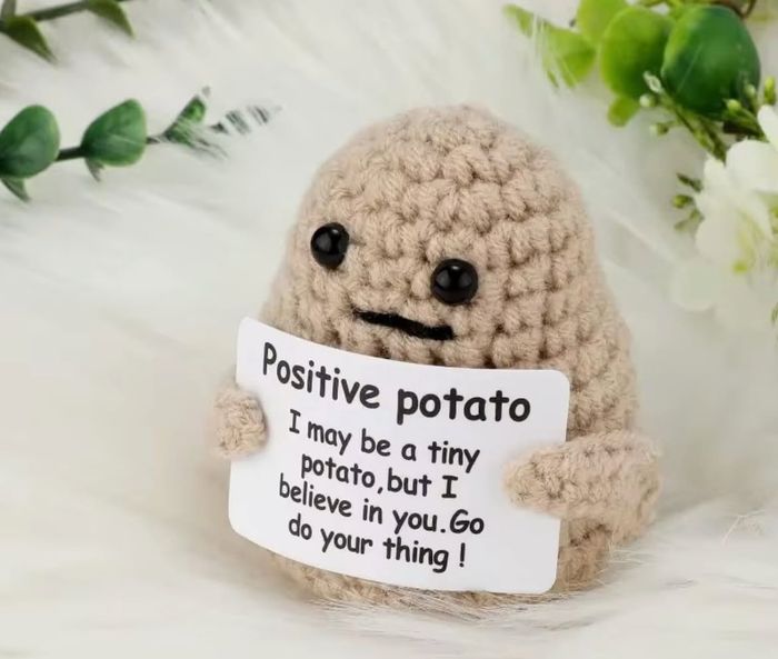 POSITIVE  PLUSHIES