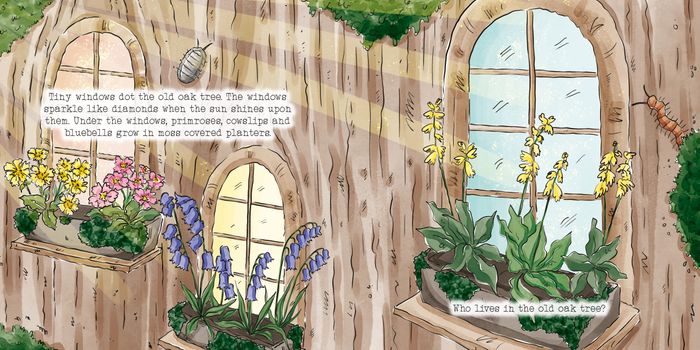 Spring Time Picture Book
