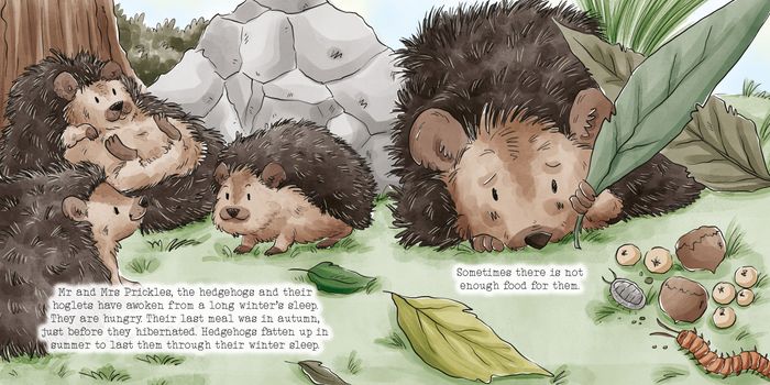 Spring Time Picture Book