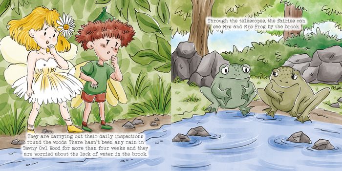 Summer Time Picture Book
