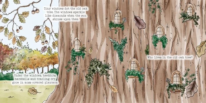 Autumn Time Picture Book