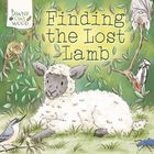 Finding the lost lamb Picture Book