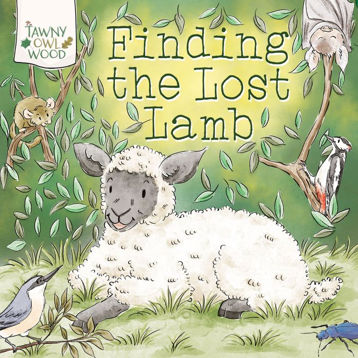 Finding the lost lamb Picture Book
