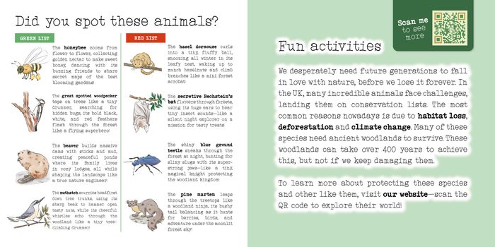 Finding the lost lamb Picture Book