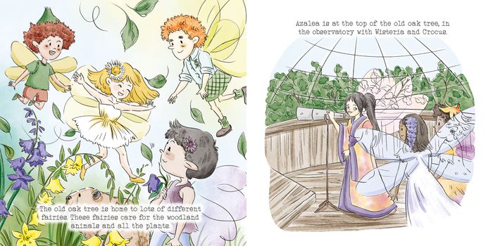 Finding the lost lamb Picture Book