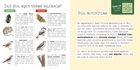Hebe and the Wriggling Words Picture Book