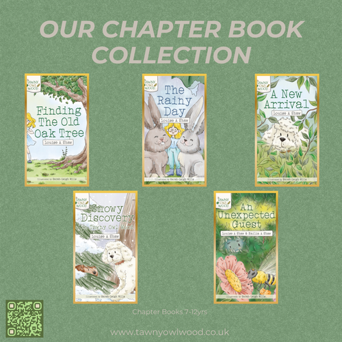 Chapter Books 7-12yrs