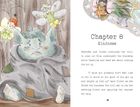 The Unexpected Guest Chapter Book