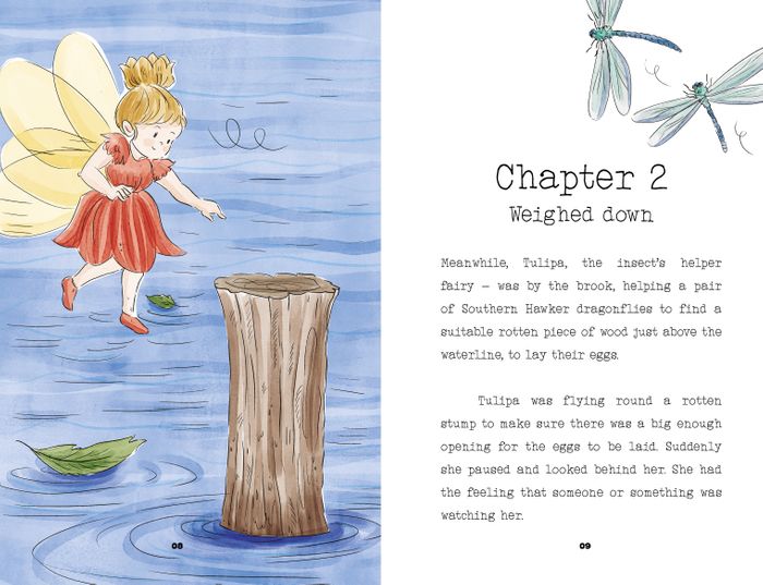 The Unexpected Guest Chapter Book
