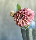 NEW FAUX FLEURS FOR AW26