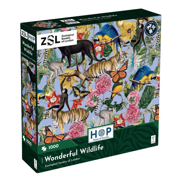 The House of Puzzles
