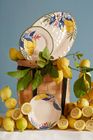 Rose & Tulipani (Melamine Collections)