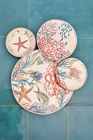 Rose & Tulipani (Melamine Collections)