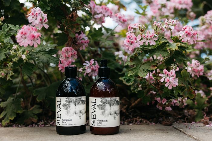 Introducing Geranium Leaf into the Hand Care range