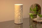 The Columna Collection