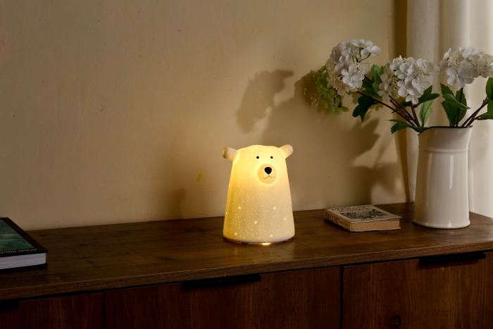 The Whimsical wonders Collection