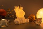 The Whimsical wonders Collection