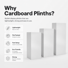 Meet Cardboard Plinths