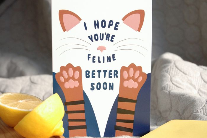'Nose to Toes' Cards