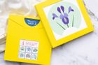 Small Card Packs