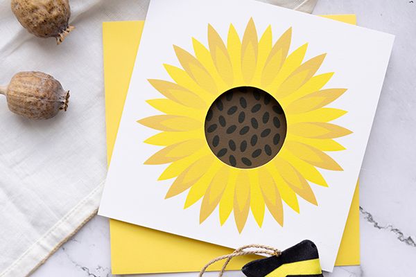 Circle-Cut Flower Cards