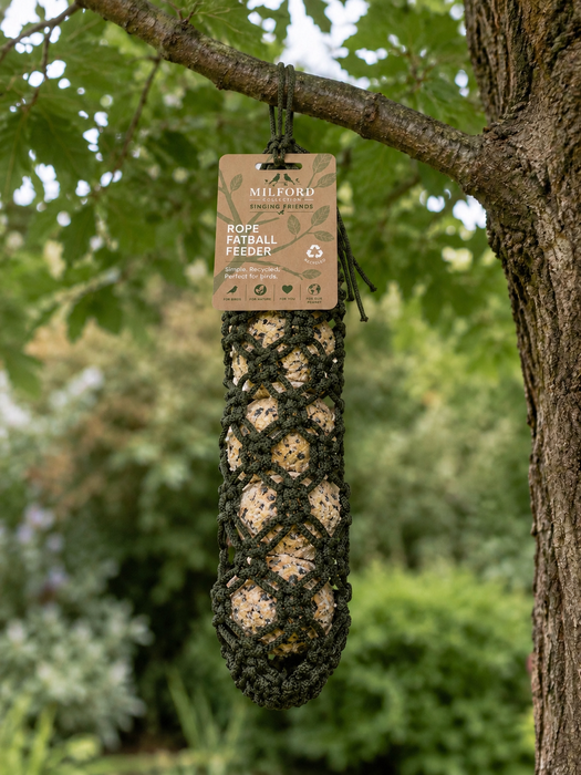 Singing Friends Fatball Bird Feeder