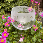 Animo Glass