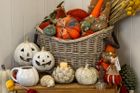 A touch of Autumn
